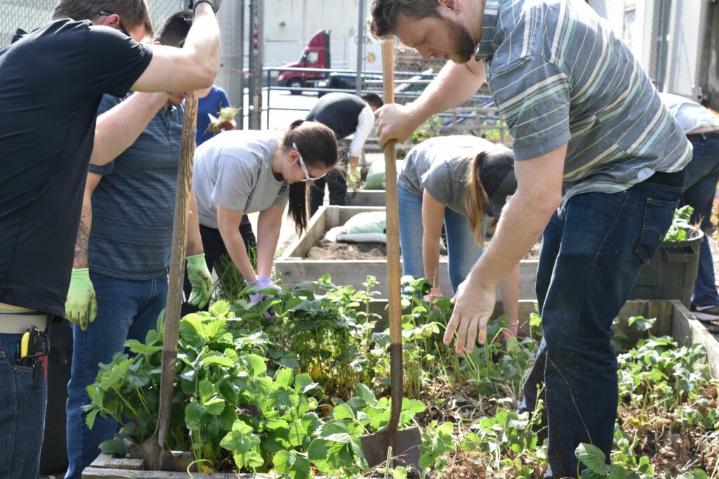 Several people gardening
